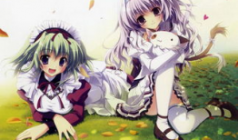 纯白交响曲动漫在线观看,动漫在线观看，沉浸式音乐之旅