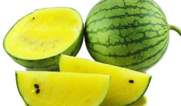 吃瓜爆料真假辨别图片,真假难辨，图片背后的真相大揭秘