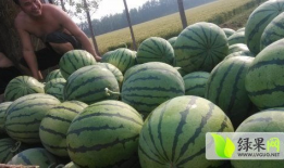 保山吃瓜最新事件爆料,最新爆料揭秘惊人内幕